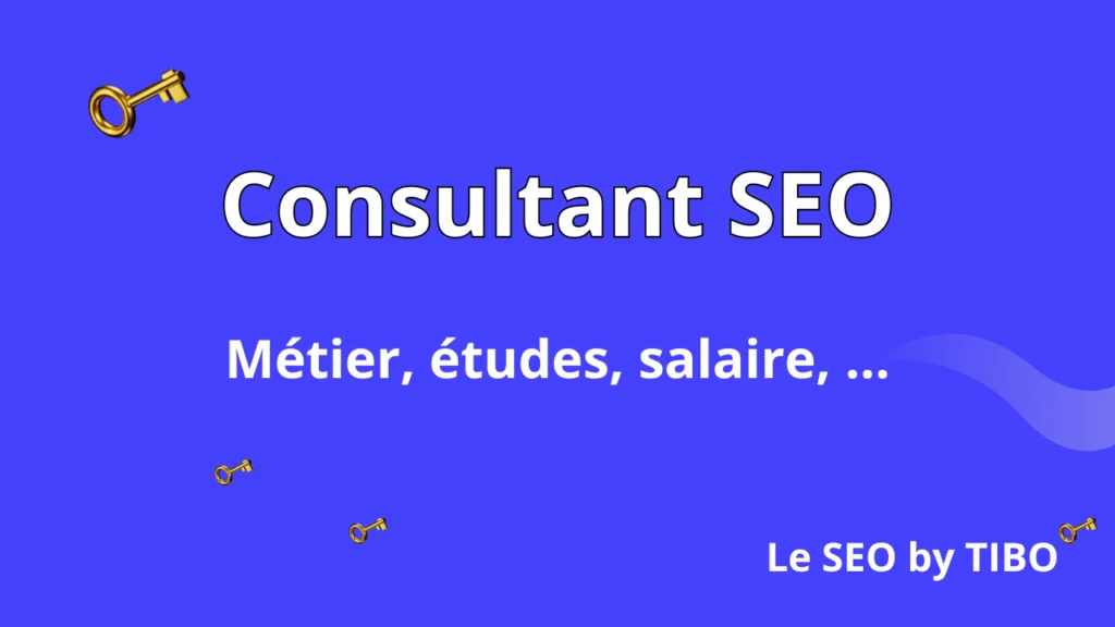 Consultant SEO Le SEO by Tibo